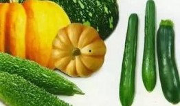 乔风吃瓜,揭秘娱乐圈幕后故事