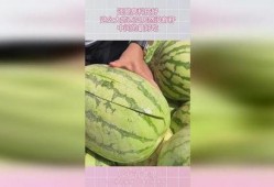 吃瓜中心怎么没了