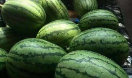 吃瓜京圈热,吃瓜群众眼中的娱乐圈热点