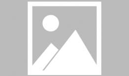 吃榴莲可以吃方瓜吗,探索异域美食的奇妙搭配