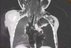 吃瓜跌落全文,一场意外的瓜界风云