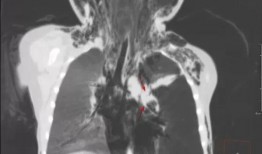 吃瓜跌落全文,一场意外的瓜界风云