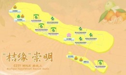 国外吃瓜路线视频,跟随吃瓜路线视频探索异国风情