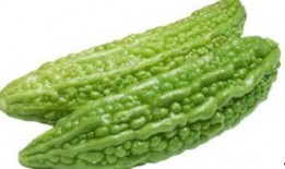 吃凉瓜会退奶,传统食疗法在现代生活中的应用