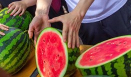 学校吃瓜的视频,揭秘学校吃瓜盛况，欢乐瞬间尽收眼底