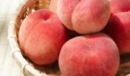 吃瓜桃桃,揭秘娱乐圈那些不为人知的幕后故事