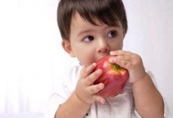 小度早上空腹吃瓜,小度早晨的清新选择