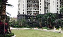 世茂湖滨吃瓜,吃瓜群众见证的社区风云录