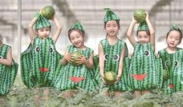 吃瓜节直播,全民狂欢，瓜界盛宴