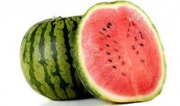 吃瓜我爱你下载