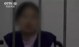 宣城大师吃瓜事件始末,一场网络狂欢背后的真相揭秘