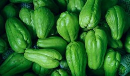 福建农院吃瓜,校园瓜香四溢，欢乐共享时光