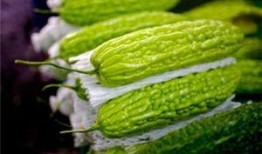 孕妇可以吃美瓜,孕妇健康饮食新选择