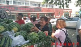 曲靖麒麟事件吃瓜群众,吃瓜群众视角下的真相揭秘