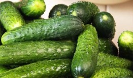 小暑吃仨瓜是,品味三瓜养生之道