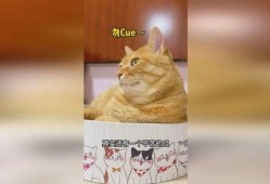 猹吃瓜吃自己身上