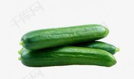 千鹤吃瓜,揭秘娱乐圈的甜蜜与苦涩