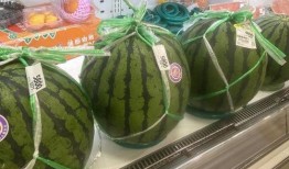 在日本居家吃瓜,品味日本家常美食之旅