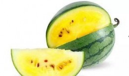 吃经瓜好吗,吃经瓜，品味生活新境界