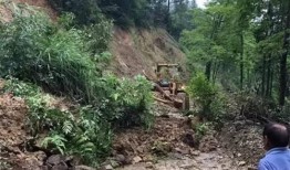 吃瓜直播流量塌方,揭秘背后真相与行业反思