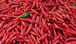 吃瓜少女魏淑芬吃辣椒,魏淑芬的辣椒食旅记