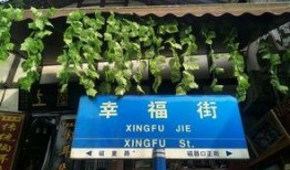 吃瓜喝茶看大戏