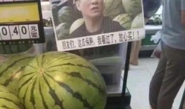 365雷哥吃瓜,揭秘娱乐圈那些不为人知的幕后故事