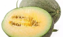 小何吃瓜,揭秘娱乐圈那些不为人知的幕后故事