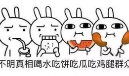 喝水吃饼吃瓜吃鸡腿,喝水吃饼吃瓜吃鸡腿的美食之旅
