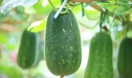 小何吃瓜,揭秘娱乐圈那些不为人知的幕后故事