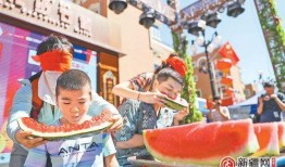 吃瓜游戏团体,揭秘娱乐圈幕后风云的“瓜农”们