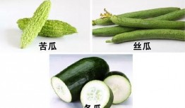 吃瓜有哪些症状,吃瓜爱好者必知的五大症状