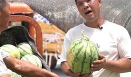 热搜吃瓜者,揭秘网络吃瓜者的狂欢世界