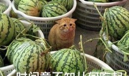 吃瓜合约,网络热议背后的真相与启示