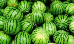 锡职吃瓜,吃瓜群众眼中的校园热点