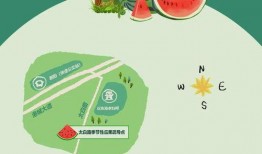 班级关系图吃瓜,一场校园“吃瓜”大戏