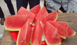 坝瓜怎么吃,探索美味与营养的完美融合