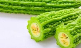 瓜群出现吃瓜方法,轻松掌握瓜界潮流