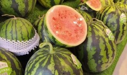 龙瓜可以天天吃吗