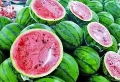 梦到吃瓜 瓜里长虫,吃瓜遇虫，揭秘潜意识中的恐惧与期待