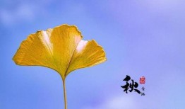 春天可以吃秋瓜,春季饮食新主张