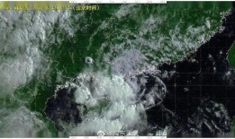 台风鹦鹉吃瓜,吃瓜群众如何应对？