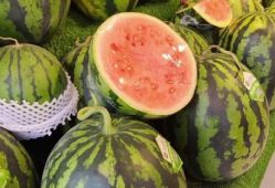 龙瓜可以天天吃吗