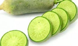 萝卜归期吃瓜,瓜果飘香——探寻时令美食的归期之旅