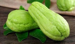 吃瓜缙云,吃瓜之旅，品味地方特色