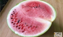 吃瓜饮酒话桑麻,一场别开生面的吃瓜饮酒盛宴