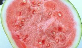 优质吃瓜网友,优质吃瓜网友带你领略幕后风云