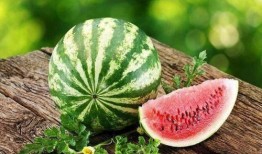 高新全能的视频吃瓜