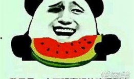 吃瓜就爱吃瓜什么意思,揭秘“吃瓜就爱吃瓜”的趣味内涵