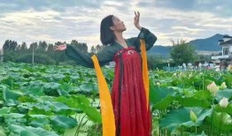 花开半夏吃瓜,一场别开生面的夏日盛宴